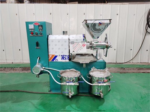 Congo automatic oil press – oil press machine