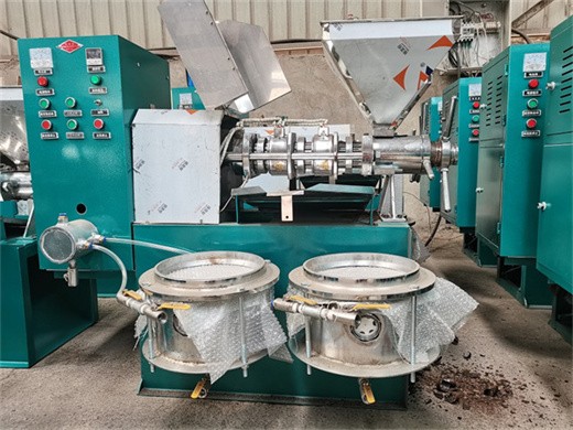 coconut oil press oil press machine seed oil in thailand