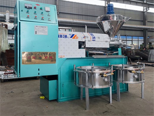 large oil press machine automatic stainless steel oil press high