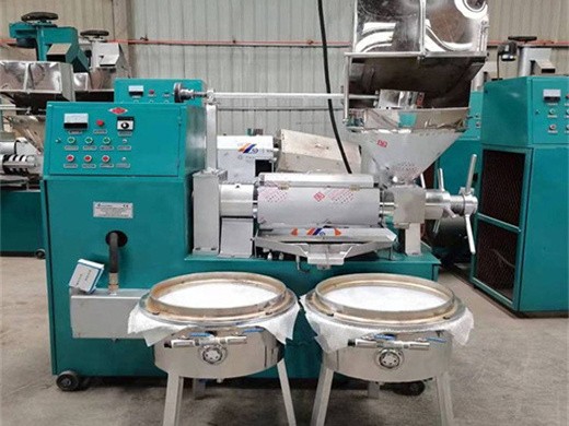 soybean oil press mill palm oil extraction process machine in egypt