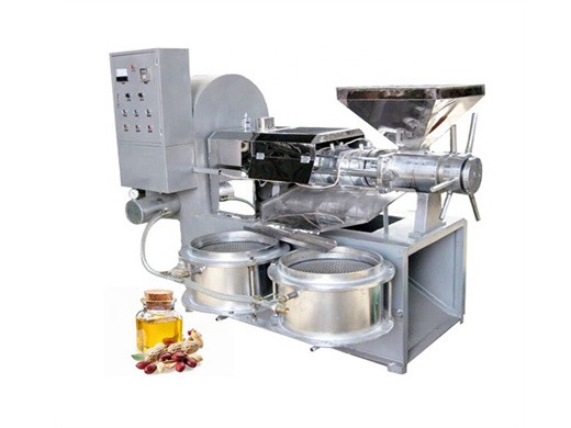 oil press machine commercial stainless steel electric oil press