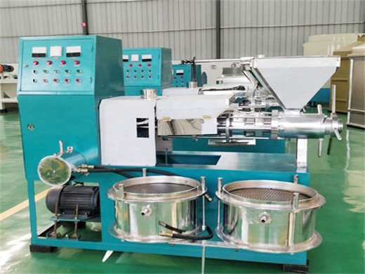 high oil yield rate soybean oil press machine plant for sale cooking