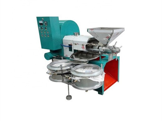 multifunction automatic peanut soybean oil extraction machine in brazil