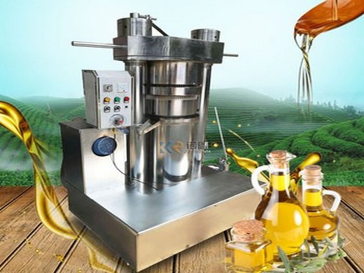 Indonesia big oil mill machines cold press oil machine