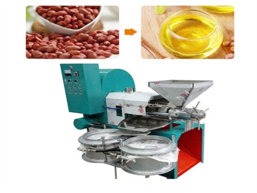 good performance palm kernel oil extraction machines in mexico