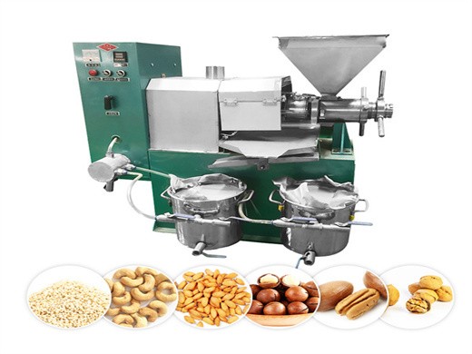 Pakistan yzyx120sl saffower oil press machine saffower oil