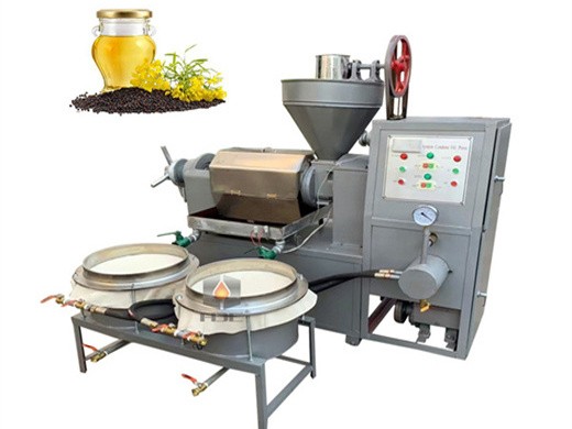 6yz-230 soybean oil making machine price commercial olive oil