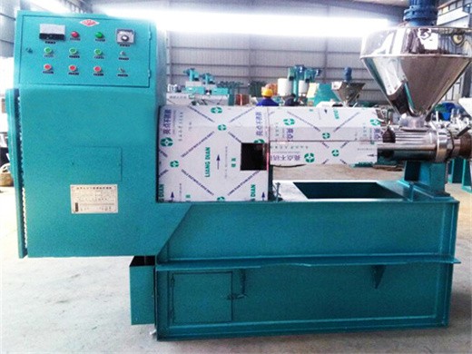 high oil yield rate automatic screw oil expeller machine in Dubai