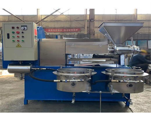 automatic oil press peanut nuts seed olive oil expeller in Guadar