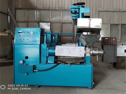 commercial oil press machine for sales factory price