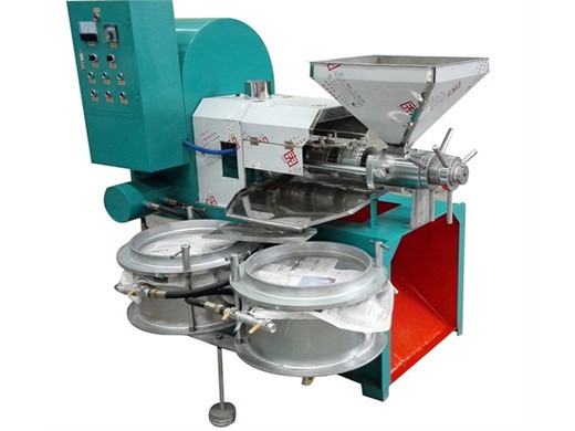 factory with oil filter big coconut oil press machine in sri lanka