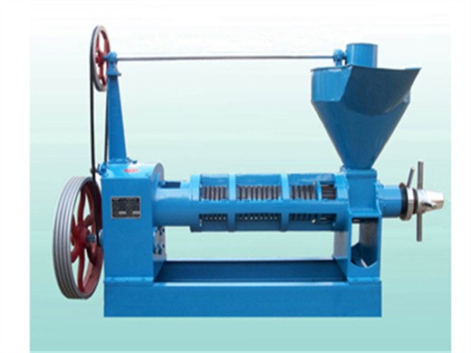 Azerbaijan soybean and peanut oil press machine saving power