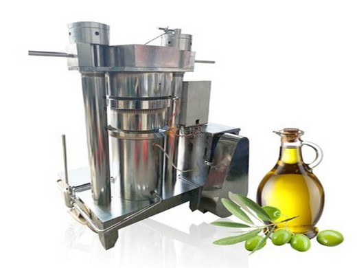 olive oil press machine suppliers and exporters in uae