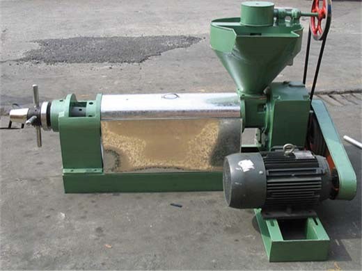 kernel oil expeller machine palm fruit mill plant press in mexico