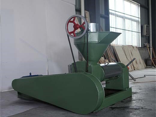 sunflower/peanut/sesame cold press oil press machine in myanmar