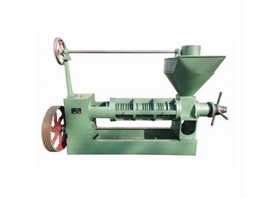 screw cold pressed groundnut oil processing machine from Algeria