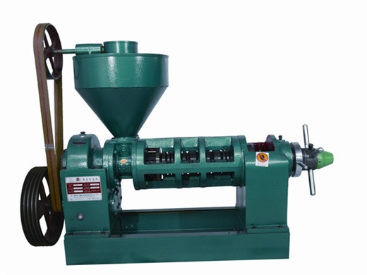 china bigest 6yl screw oil press machine