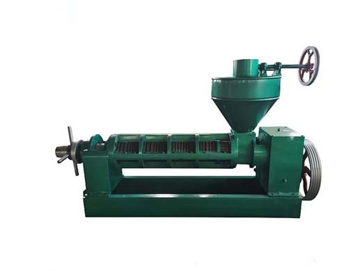 automatic oil press machine buy cold press oil expeller in Basra