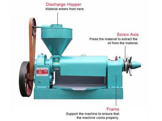 soybean oil screw cold and hot press extraction machine in uzbekistan