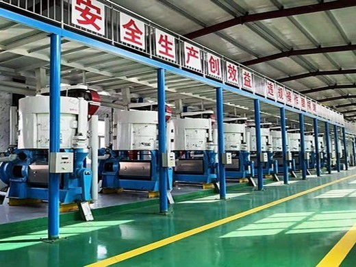 china durable oil making machine for vegetable seeds