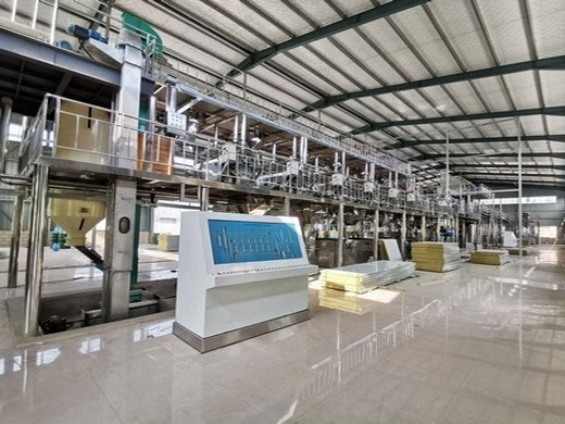 full automatization 100tpd palm fruit oil extraction plant in Cəlilabad