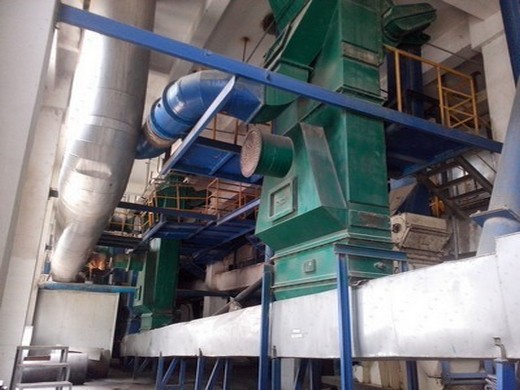 2024 e corn germ oil press machine in egypt edible