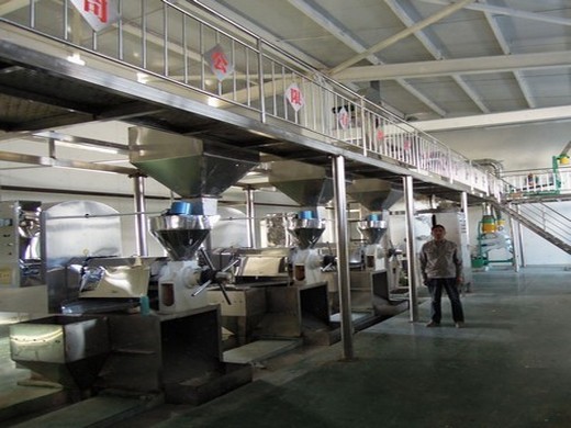 buy ce and iso approved palm oil press produiction line in Baghdad