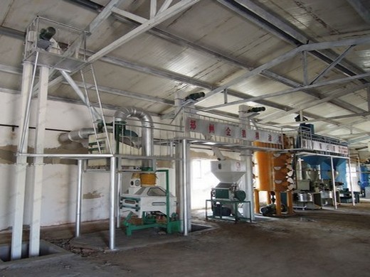 oil press machine