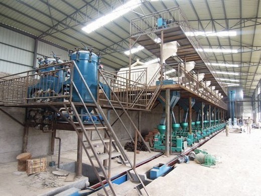 edible oil production line china oil pressers