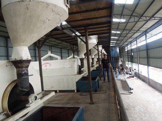 full automatic high oil quality walnut oil press in Daman