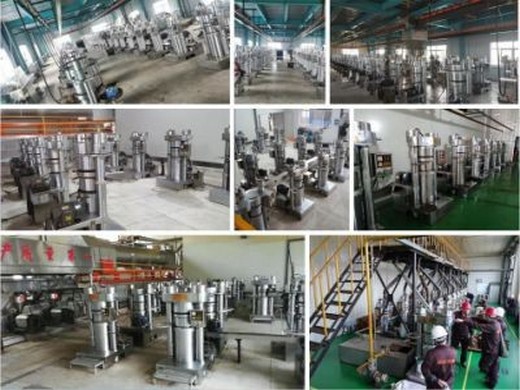 seed oil press machine/oil press for sunflower/sesame in Lebanon