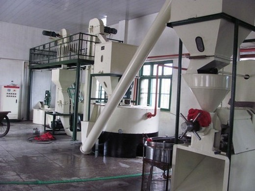 6yl-95 soybean nut oil press machine extraction equipment in Kuteymaha