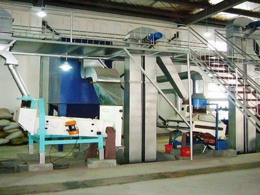 china 1t 10t/h fresh palm fruit oil extraction equipment