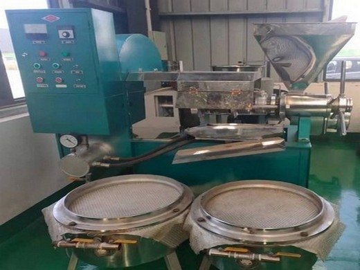 cold press oil expeller, cold oil press machine for sale