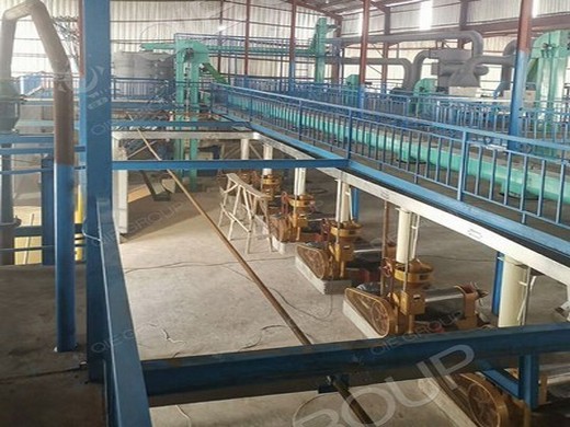 hot sale in india domestic commercial use big sunflowe oil production line cold