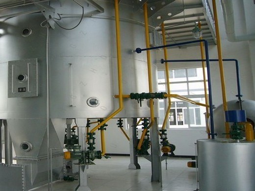 big palm kernel oil press processing refinery machine at thailand