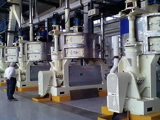 Angola vegetable oil refining process – optek