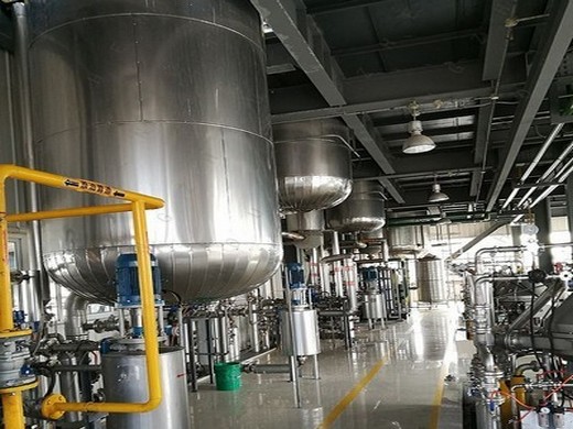 18-20t/d small palm oil extraction machine line yahua in Armenia