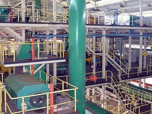 sunflower oil extraction machine