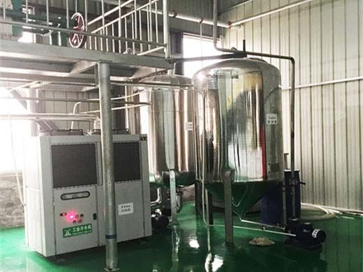 screw type automatic oil press machine grape pip oil in mongolia