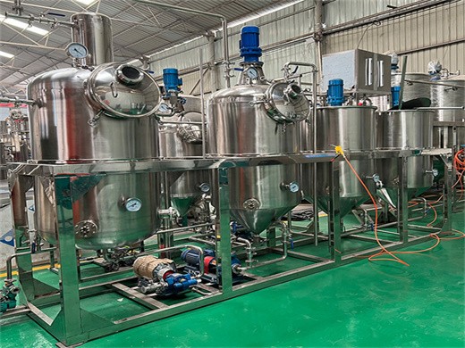 popular oil press coconut oil processing plant oil machine in Baghdad