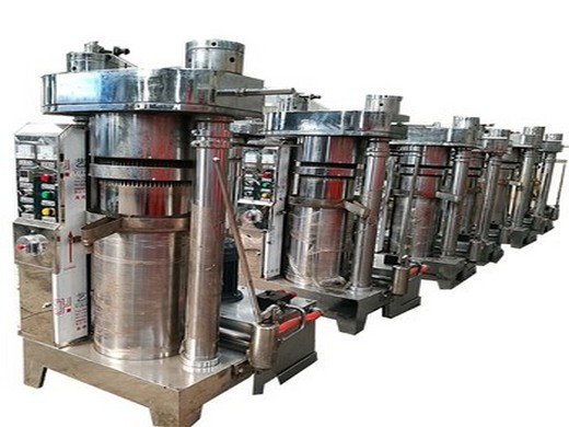 large seeds and nuts oil press machine rapeseeds oil expeller in india