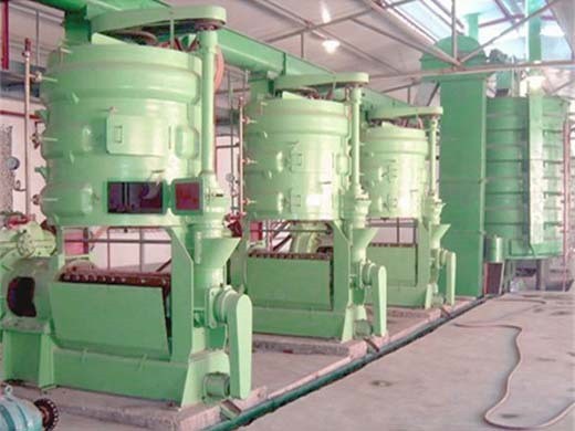 oil press machine