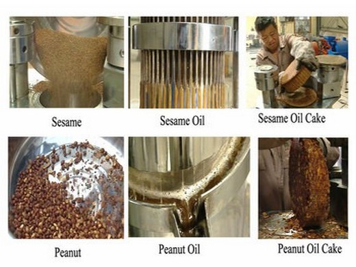 palm oil making machine palm oil making machine suppliers in Erbil