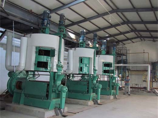 oil press machine