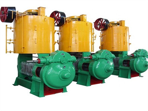 factory direct sales cold press peanut oil extraction machine on namibia