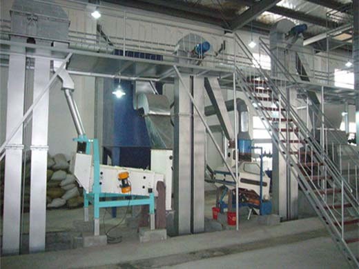 cotton seed oil refinery machinery cotton seed oil from Cameroon