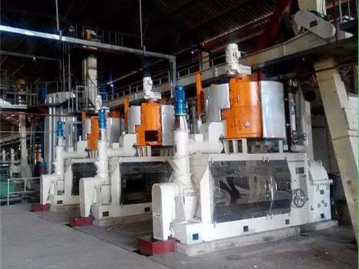 soybeanscrew cold oil press machine for sale in egypt