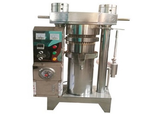 electric corn germ screw oil press 5 h.p model name from Nigeria