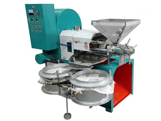 electric automatic oil expeller press machine nut seed in Mozambique